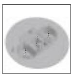 HOTPOINT FI4854PIXHA - Replacing the independent "double flame" burner nozzles: - 2