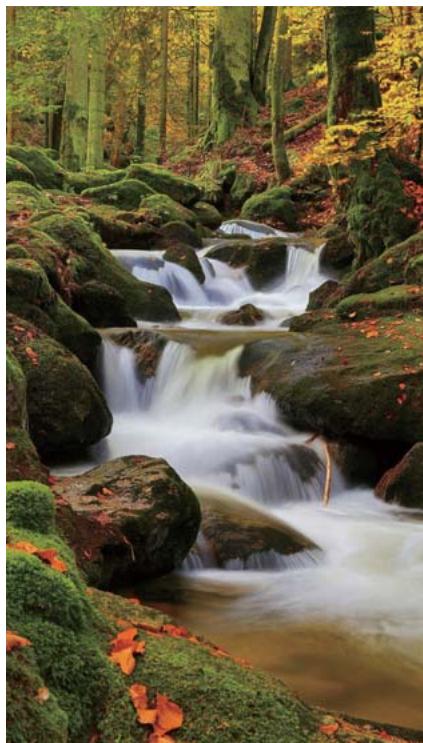 HONOR 8X - Eau soyeuse - 1