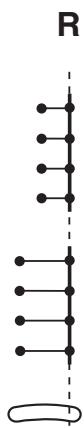 ELNA EXCELLENCE 780 - To sew the same size tack - 3