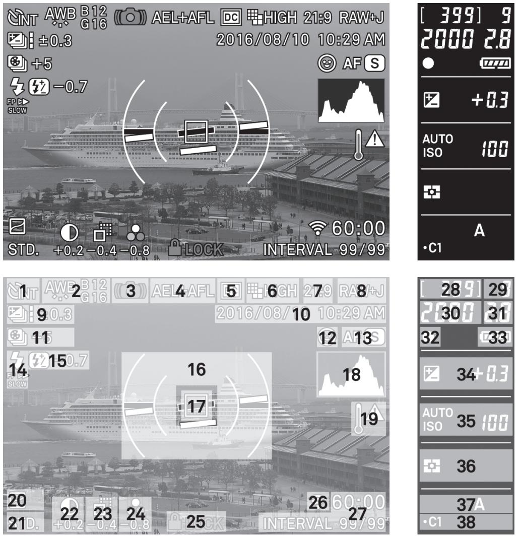 SIGMA SD QUATTRO - AFFICHAGE DU MONITEUR PENDANT LA PRISE DE VUE - 1
