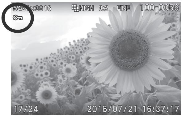 SIGMA SD QUATTRO - 3 - 1