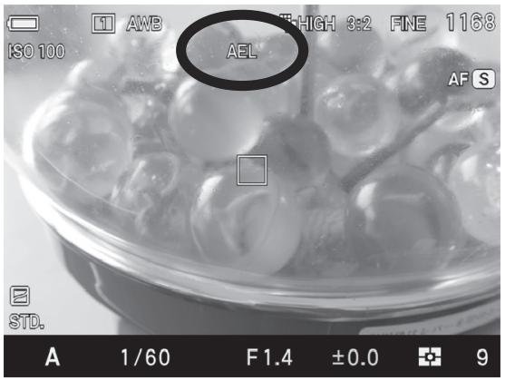 SIGMA SD QUATTRO - [•] MESURE SPOT - 1