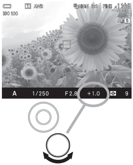 SIGMA SD QUATTRO - CORRECTION D'EXPOSITION - 1