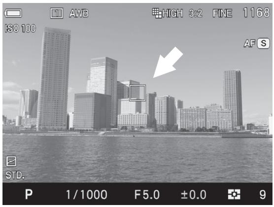 SIGMA SD QUATTRO - UTILISATION DE L'AUTOFOCUS - 2