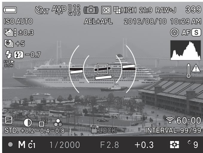 SIGMA SD QUATTRO - AFFICHAGE DU MONITEUR PENDANT LA PRISE DE VUE - 2