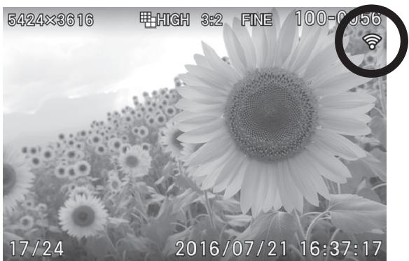 SIGMA SD QUATTRO - eyefi connected - 1