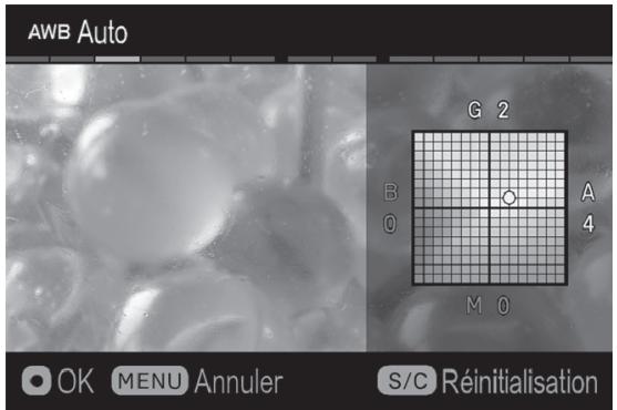SIGMA SD QUATTRO - AJUSTEMENT DE LA BALANCE DES BLANCS - 2