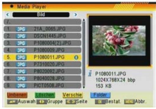 FTE EXTREME HD FLEX T2 - LOSCHEN - 1