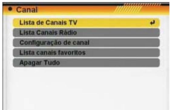 FTE EXTREME HD FLEX T2 - MENU CANAL - 1