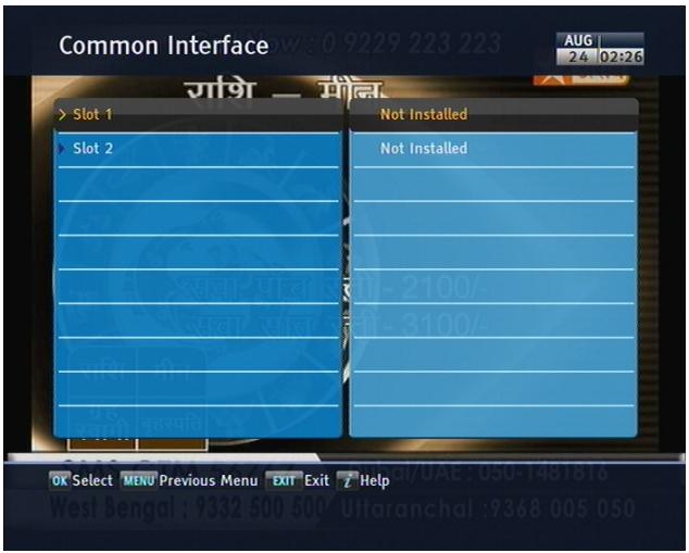 TOPFIELD SBP-2001 - Common Interface - 2
