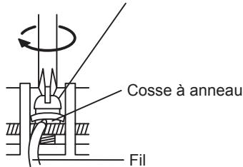 Cosse à anneau Fil