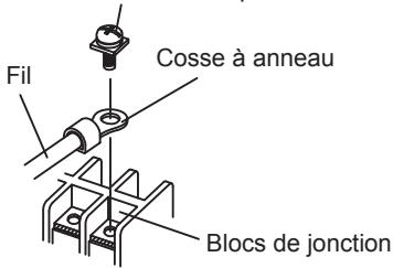Fil Cosse à anneau Blocs de jonction