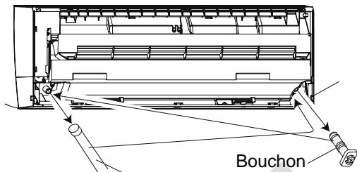 Bouchon
