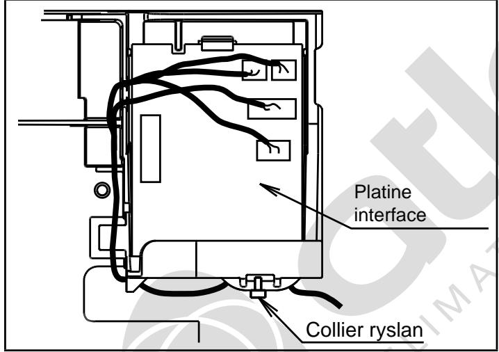 Platine interface Collier ryslan