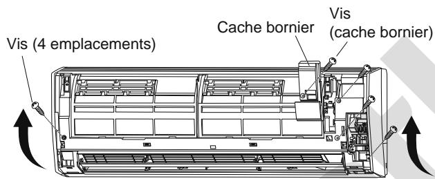 Vis (4 emplacements) Cache bornier Vis (cache bornier)