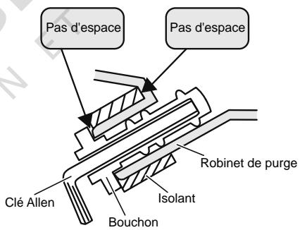 Pas d'espace Pas d'espace Clé Allen Bouchon Isolant Robinet de purge