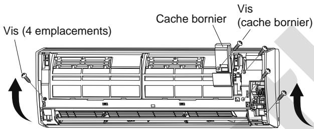 Vis (4 emplacements) Cache bornier Vis (cache bornier)