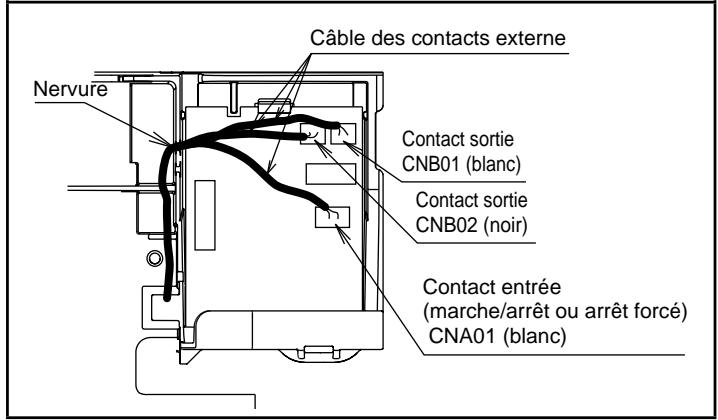 Câble des contacts externe Nervure Contact sortie CNB01 (blanc) Contact sortie CNB02 (noir) Contact entrée (marche/arrêt ou arrêt forcé) CNA01 (blanc)