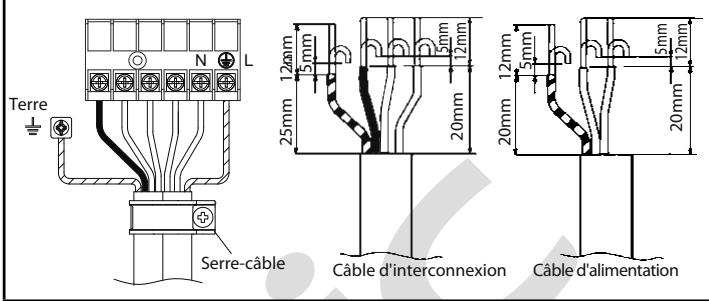 Terre N L 25mm 12mm 5mm 12mm 20mm 12mm 5mm 20mm 20mm Serre-câble Câble d'interconnexion Câble d'alimentation