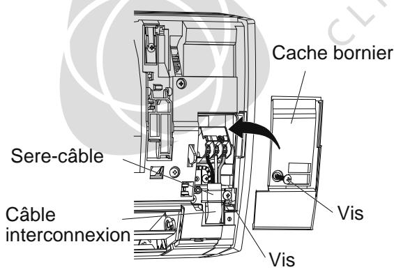 Cache bornier Sere-câble Câble interconnexion Vis Vis