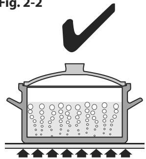 AGA MASTERCHEF 110 INDUCTION - Cooker Overview - 2