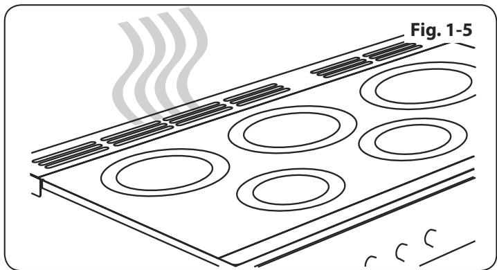 AGA MASTERCHEF 110 INDUCTION - Cooker Care - 3