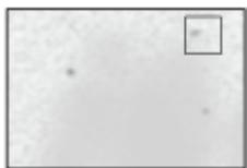 OKI MC760DN - La condensation de rosée apparait sur le papier imprimé - 5