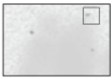 OKI ES8453DN - La condensation de rosée apparait sur le papier imprimé - 5