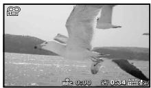 OLYMPUS TG6 - Appuyez sur la touche (video) pour commencer l'enregistrement. - 3