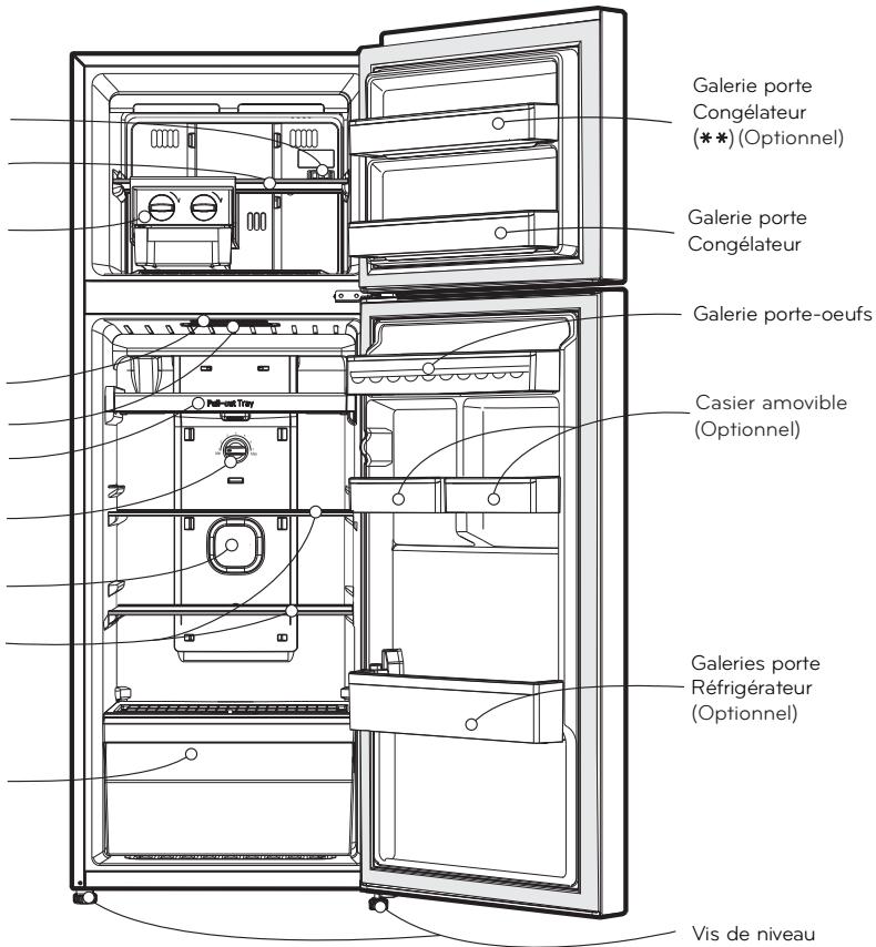 LG GT6031PS - Compartiment réfrigérateur - 2