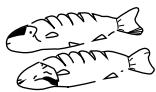 DAEWOO KOC9Q3TC - Disposition des aliments - 6