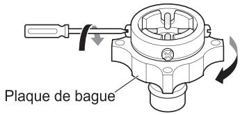Plaque de bague