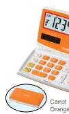 CASIO SL 100VC - CASIO's unique value added calculators - 8
