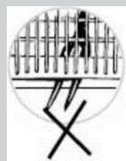 FAR LV13C49M19IX - WARNING! - 1