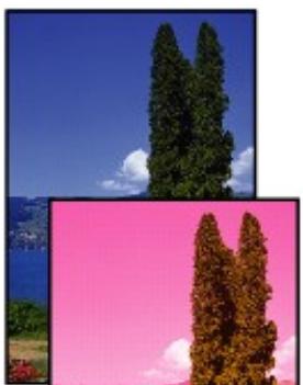 CANON TS 6350 - Aucun résultat d'impression/L'impression est floue/Les couleurs ne sont pas fidèles/Traces blanches - 4