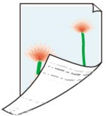 CANON TS 6350 - Le verso du papier est taché - 1