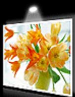 CANON TS 6350 - Manuel en ligne - 3