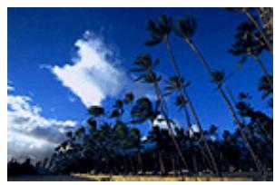 CANON TS 6350 - Réglage de l'intensité - 2