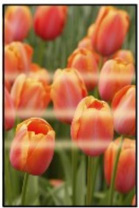 CANON TS 6350 - Les couleurs sont inégales - 1