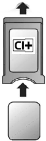 CI+