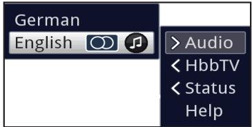 TECHNISAT DIGIT S3 HD - Selecting a different language / sound option - 1