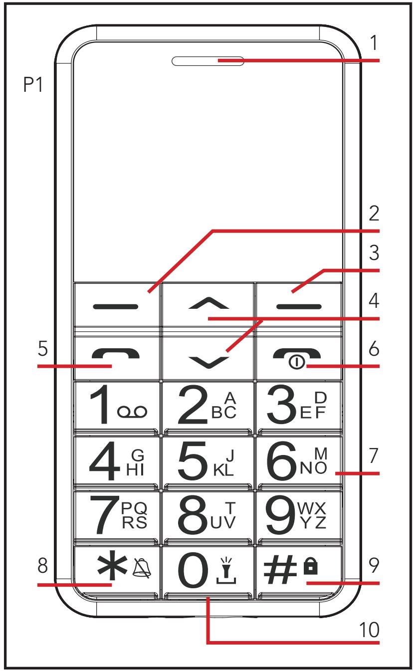 AEG-ELECTROLUX VOXTEL M250 - 1