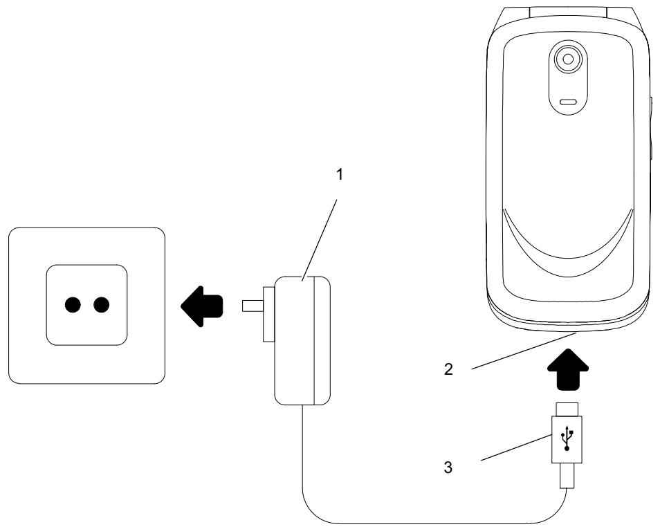 OLYMPIA VIVA  -  VIVA PLUS - NOTE - 1