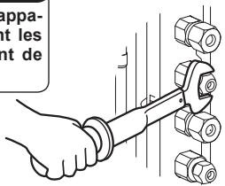 appa- nt les ont de