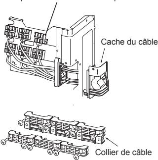 Cache du câble Collier de câble