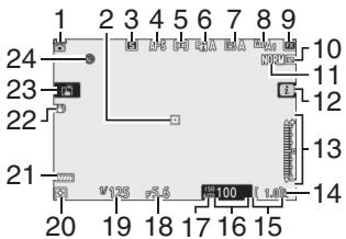 NIKON Z7 - The Monitor and Viewfinder - 2