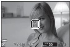 NIKON Z 6 - Focus. - 2