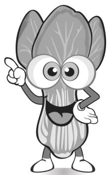 DEJELIN SLJ100 - INGRÉDIENTS FIBREUX ET/OU FEUILLUS ET DURS (ex: céleri, chou frisé, ananas,: - 4