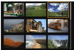 CANON EOS 250D - Affichez l'image. - 7