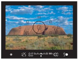 CANON EOS 250D - Effectuez la mise au point. - 1